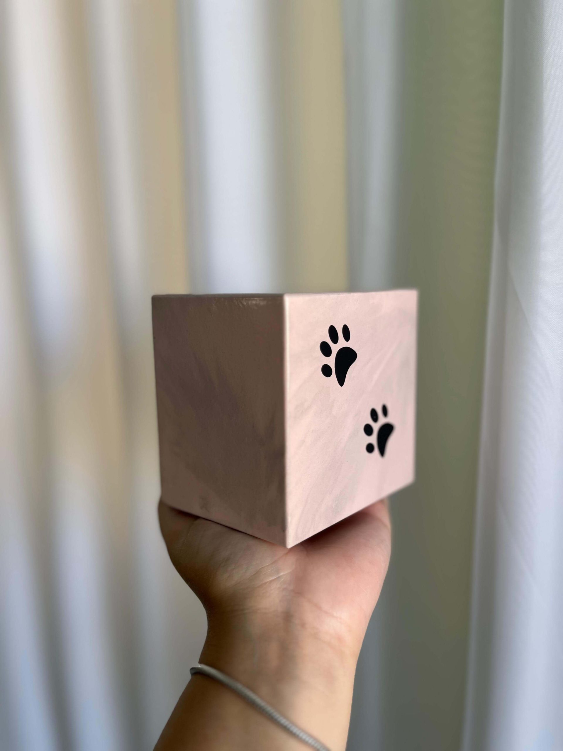 urna-cremacao-caixa-box